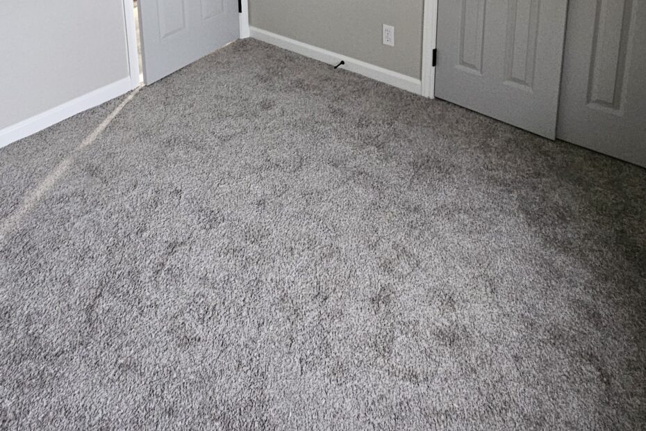 new-carpet-installation